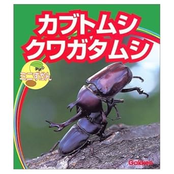 【販売】カブトムシ・クワガタムシ (学研のミニ図鑑)